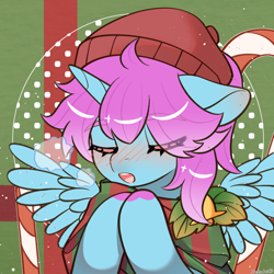 Size: 1280x1280 | Tagged: artist needed, safe, oc, oc only, oc:柒染, alicorn, pony, alicorn oc, blush lines, blushing, breath, candy, candy cane, christmas, clothes, colored hooves, female, food, holiday, hooves, horn, mare, scarf, solo, spread wings, striped scarf, wings