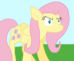 Size: 948x778 | Tagged: safe, artist:cmara, fluttershy, pegasus, pony, g4, female, solo