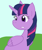 Size: 640x771 | Tagged: safe, artist:cmara, twilight sparkle, alicorn, pony, g4, female, outdoors, solo, twilight sparkle (alicorn)