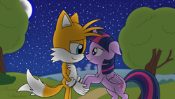 Size: 4800x2700 | Tagged: safe, artist:phantomshadow051, twilight sparkle, alicorn, fox, mobian, pony, g4, boop, crossover, crossover shipping, digital art, duo, grass, holding hands, miles "tails" prower, night, noseboop, road, shipping, signature, sky, sonic the hedgehog (series), starry night, stars, tree, twilight sparkle (alicorn), twitails