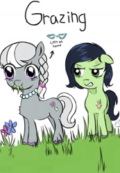 Size: 1125x1628 | Tagged: safe, artist:pyromaneiac, silver spoon, oc, oc:filly anon, earth pony, pony, g4, my little pony: friendship is magic, female, filly, funny, grazing, missing accessory, nom, pain