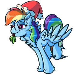 Size: 2449x2449 | Tagged: safe, artist:witchtaunter, rainbow dash, pegasus, pony, g4, chest fluff, christmas, cute, dashabetes, ear fluff, female, hat, high res, holiday, holly, holly mistaken for mistletoe, lidded eyes, mare, mouth hold, santa hat, simple background, smiling, solo, spread wings, transparent background, wings