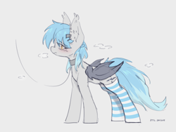 Size: 3200x2401 | Tagged: safe, artist:zylgchs, oc, oc only, oc:tu-vos, bat pony, blushing, clothes, collar, ear fluff, leash, simple background, socks, solo, striped socks