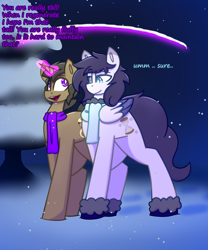 Size: 2048x2458 | Tagged: safe, artist:askhypnoswirl, doctor whooves, time turner, oc, oc only, pegasus, unicorn, g4, boots, clothes, duo, duo male, horn, magic, male, night, pegasus oc, scarf, shield, shoes, snow, tree, unicorn oc