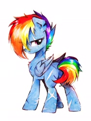 Size: 2341x3122 | Tagged: safe, artist:liaaqila, rainbow dash, pegasus, pony, g4, my little pony: friendship is magic, the cutie re-mark, alternate hairstyle, alternate timeline, apocalypse dash, body scar, chest fluff, crystal war timeline, facial scar, female, folded wings, looking back, mare, missing accessory, missing cutie mark, scar, simple background, solo, torn ear, white background, wings