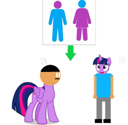 Size: 1165x1136 | Tagged: safe, artist:williamtheofficial, twilight sparkle, oc, oc:william, alicorn, human, pony, g4, female, head swap, male, simple background, twilight sparkle (alicorn)