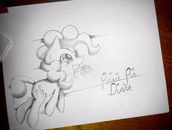 Size: 4000x3000 | Tagged: safe, artist:anonymous, pinkie pie, earth pony, pony, g4, drawthread, female, flower, grin, happy, mare, mouth hold, requested art, running, smiling, solo, traditional art