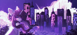 Size: 3270x1503 | Tagged: safe, artist:tyutya, oc, oc only, pony, unicorn, city, cityscape, detailed background, ear fluff, female, horn, mare, night, solo, stars