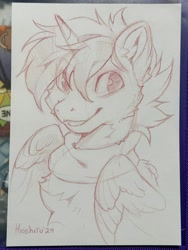 Size: 3024x4032 | Tagged: safe, artist:hioshiru, oc, oc:hardy, alicorn, pony, chest fluff, clothes, ear fluff, horn, looking at you, male, pencil drawing, scarf, smiling, smiling at you, solo, stallion, traditional art