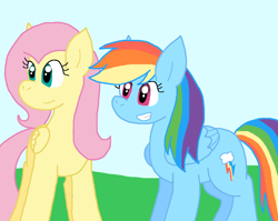 Size: 1086x866 | Tagged: safe, artist:cmara, fluttershy, rainbow dash, pegasus, pony, g4, duo, duo female, female, outdoors