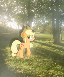 Size: 2378x2837 | Tagged: safe, artist:trrrebleee, derpibooru exclusive, edit, vector edit, applejack, earth pony, pony, g4, female, irl, mare, nature, outdoors, photo, real life background, solo