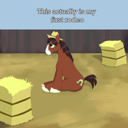 Size: 2000x2000 | Tagged: safe, artist:lillslim, trouble shoes, earth pony, pony, g4, cowboy hat, drawthread, fence, frown, hat, hay bale, male, outdoors, ponified, requested art, rodeo, short tail, sitting, stallion, tail, text