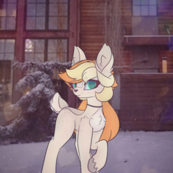 Size: 2664x2664 | Tagged: safe, alternate version, artist:sodapop sprays, oc, oc only, oc:sodapop sprays, deer, deer pony, hybrid, original species, pony, blushing, deer oc, freckles, looking at you, non-pony oc, outdoors, solo