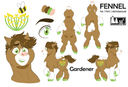 Size: 3000x2048 | Tagged: safe, artist:pookawoods-art, oc, oc:fennel, earth pony, pony, male, reference sheet, solo, stallion