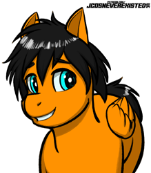 Size: 3583x4093 | Tagged: safe, artist:jcosneverexisted, oc, pegasus, pony, male, solo