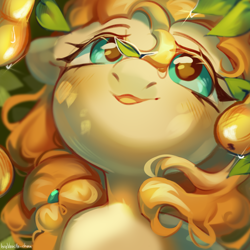 Size: 4000x4000 | Tagged: safe, artist:vanilla-chan, pear butter, earth pony, pony, g4, absurd resolution, female, food, fruit, leaves, mare, open mouth, pear, solo