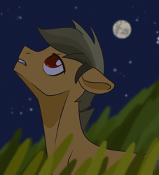 Size: 2002x2203 | Tagged: safe, artist:victoria_nik, oc, oc only, oc:alexon neal, earth pony, pony, bags under eyes, base used, grass, looking at something, looking up, male, moon, night, outdoors, red eyes, sky, solo, stallion, sternocleidomastoid, teeth