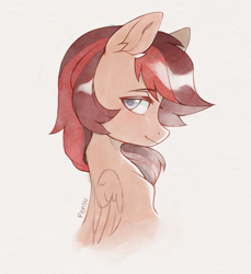 Size: 1726x1886 | Tagged: safe, artist:fensu-san, oc, oc only, oc:keman, pegasus, pony, ear fluff, eyebrows, eyebrows visible through hair, folded wings, male, pegasus oc, profile, side view, solo, stallion, wings