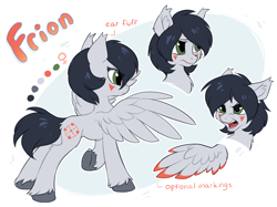 Size: 1402x1047 | Tagged: dead source, safe, artist:hioshiru, oc, oc only, oc:frion, pegasus, pony, colored wings, colored wingtips, concave belly, ear fluff, facial markings, female, mare, open mouth, pegasus oc, reference sheet, slender, solo, spread wings, tail, thin, underhoof, unshorn fetlocks, wings