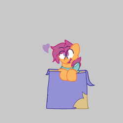 Size: 720x720 | Tagged: safe, artist:not-important, scootaloo, pegasus, pony, g4, box, female, gray background, pony in a box, simple background, solo