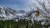 Size: 1192x670 | Tagged: safe, artist:mgrdash, fluttershy, bat pony, g4, bat ponified, flutterbat, irl, mountain, outdoors, photo, plushie, race swap, tree