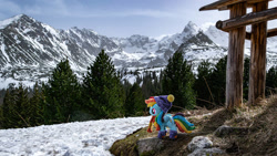 Size: 1192x671 | Tagged: safe, artist:mgrdash, rainbow dash, pegasus, pony, g4, irl, outdoors, photo, plushie, ponies in real life