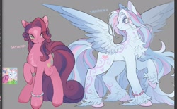 Size: 2037x1267 | Tagged: safe, artist:rottendevilman, skywishes, star catcher, earth pony, pegasus, pony, g3, bracelet, chest fluff, coat markings, duo, facial markings, female, jewelry, mare, spread wings, star (coat marking), unshorn fetlocks, wings