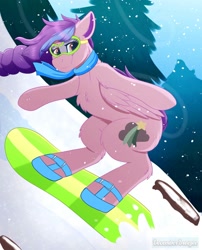 Size: 1500x1860 | Tagged: safe, artist:decemberbreeze, oc, oc only, pegasus, pony, pegasus oc, snowboard, snowboarding, solo