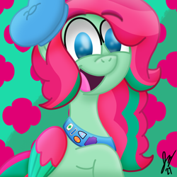 Size: 2048x2048 | Tagged: safe, artist:jesslmc16, scout kindheart, pegasus, pony, g5, adorakindheart, beret, bust, clothes, colored, colored wings, cute, female, folded wings, girl scout, hat, looking at you, mare, multicolored hair, multicolored wings, open mouth, portrait, sash, smiling, smiling at you, solo, wings