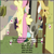 Size: 620x618 | Tagged: safe, edit, edited screencap, screencap, discord, fluttershy, draconequus, pegasus, pony, discordant harmony, g4, my little pony: friendship is magic, season 7, duo, follow that bird, indoors, sesame street, upside down, wrong aspect ratio