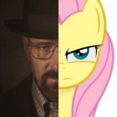 Size: 236x236 | Tagged: safe, fluttershy, human, pegasus, pony, g4, cute, meme, photo, simple background, solo, walter white, white background