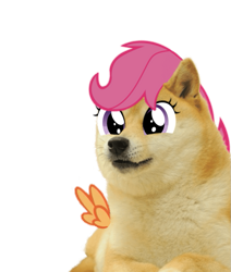 Size: 733x863 | Tagged: safe, artist:feraline(r), edit, scootaloo, dog, pegasus, shiba inu, g4, doge, simple background, spread wings, transparent background, wings