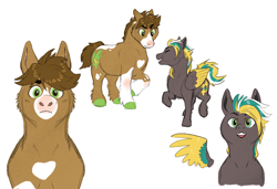 Size: 3000x2048 | Tagged: safe, artist:pookawoods-art, oc, oc only, oc:fennel, oc:sunspot, earth pony, pegasus, pony, colored wings, female, male, mare, multicolored wings, simple background, stallion, white background, wings