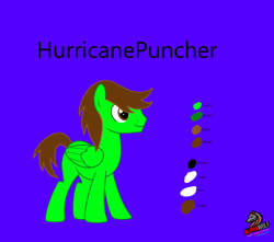 Size: 8582x7600 | Tagged: safe, artist:alphawolf2003, oc, oc only, oc:hurricanepuncher, pegasus, for a friend, male, my little pony, reference sheet, stallion