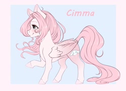 Size: 3736x2712 | Tagged: safe, artist:miokomata, oc, oc only, oc:cimma, pegasus, pony, anatomically incorrect, blushing, butt freckles, chest fluff, colored hooves, colored wings, ear blush, eyeshadow, female, freckles, gradient ears, gradient wings, gray eyes, hooves, incorrect leg anatomy, makeup, mare, passepartout, raised hoof, smiling, solo, wing freckles, wings