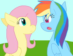 Size: 982x760 | Tagged: safe, artist:cmara, rainbow dash, pegasus, pony, g4, duo, duo female, female