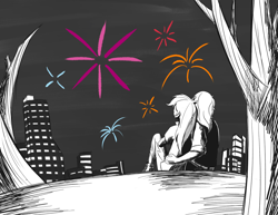 Size: 3300x2550 | Tagged: safe, anonymous artist, rainbow dash, oc, human, equestria girls, g4, black and white, canon x oc, canterlot city, city, duo, duo male and female, female, fireworks, grayscale, male, monochrome, outdoors, shipping