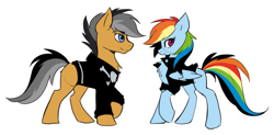 Size: 1590x783 | Tagged: dead source, safe, artist:hioshiru, quibble pants, rainbow dash, earth pony, pegasus, pony, comic:tale road, g4, chest fluff, clothes, duo, duo male and female, female, folded wings, male, mare, profile, punk, side view, simple background, stallion, tail, wings