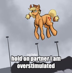 Size: 1735x1754 | Tagged: safe, artist:reddthebat, applejack, earth pony, pony, g4, body freckles, female, freckles, frown, levitation, lidded eyes, magic, mare, meme, ponified meme, solo, telekinesis, text