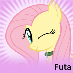 Size: 1024x1024 | Tagged: safe, fluttershy, oc, oc:futashy, derpibooru, g4, collar, cute, futa, futa fluttershy, intersex, meta, one eye closed, pet tag, shyabetes, solo, spoilered image joke, wink