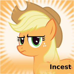 Size: 960x960 | Tagged: safe, applejack, earth pony, pony, derpibooru, g4, applejack is not amused, cowboy hat, female, hat, implied incest, implied shipping, incest, looking at you, mare, meta, shipping, solo, spoilered image joke, unamused