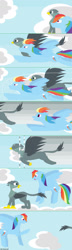 Size: 520x1799 | Tagged: safe, artist:funny-arts, gabby, rainbow dash, griffon, pegasus, pony, series:gabby griffon in daily activity, g4, beak, cloud, comic, duo, duo female, eyes closed, female, flying, folded wings, open beak, open mouth, open smile, ponytail, race, sky, smiling, wings