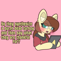 Size: 6000x6000 | Tagged: safe, artist:sodapop sprays, oc, oc only, oc:horsely, oc:naomi horsely, earth pony, pony, clothes, confused, female, holiday, looking at you, mare, meme, redshirt, solo, thanksgiving, uniform