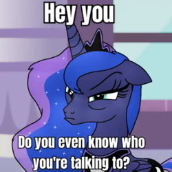 Size: 720x720 | Tagged: safe, artist:yourboimario, princess luna, alicorn, pony, g4, female, indoors, mare, meme, solo, talking to viewer