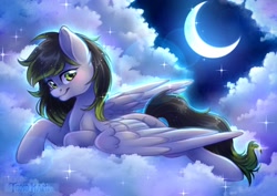 Size: 2048x1448 | Tagged: safe, artist:tokokami, oc, oc only, oc:silver moon, pegasus, pony, blushing, cloud, cute, daaaaaaaaaaaw, female, looking at you, lying down, mare, moon, night, ocbetes, outdoors, scenery, sky, smiling, solo, stars