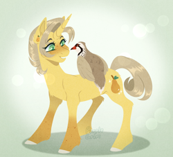 Size: 1100x1000 | Tagged: safe, artist:purplegrim40, oc, bird, pony, unicorn, female, horn, lineless, mare, partridge, solo