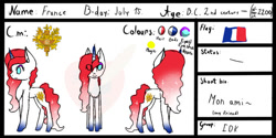 Size: 750x375 | Tagged: safe, artist:creampaint12, pony, france, nation ponies, ponified, reference sheet, solo