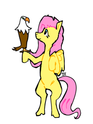 Size: 1128x1500 | Tagged: safe, artist:mevka, fluttershy, bird, eagle, pegasus, pony, g4, bipedal, female, looking at each other, looking at someone, mare, simple background, smiling, solo, white background