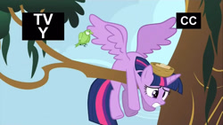 Size: 1280x720 | Tagged: safe, screencap, twilight sparkle, alicorn, bird, g4, my little pony: friendship is magic, princess twilight sparkle (episode), bird nest, closed captioning, female, nest, tree, tv rating, tv-y, twilight sparkle (alicorn)