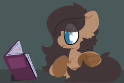 Size: 2048x1366 | Tagged: safe, artist:moonydusk, oc, oc only, oc:quillwright, pegasus, fallout equestria, book, crossed legs, eye clipping through hair, fallout equestria: of shadows, folded wings, pegasus oc, reading, sitting, solo, wings